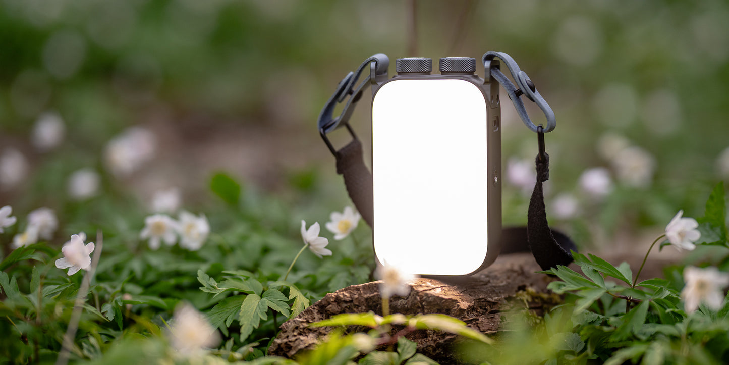 Newell Nucleo RGB LED Licht
