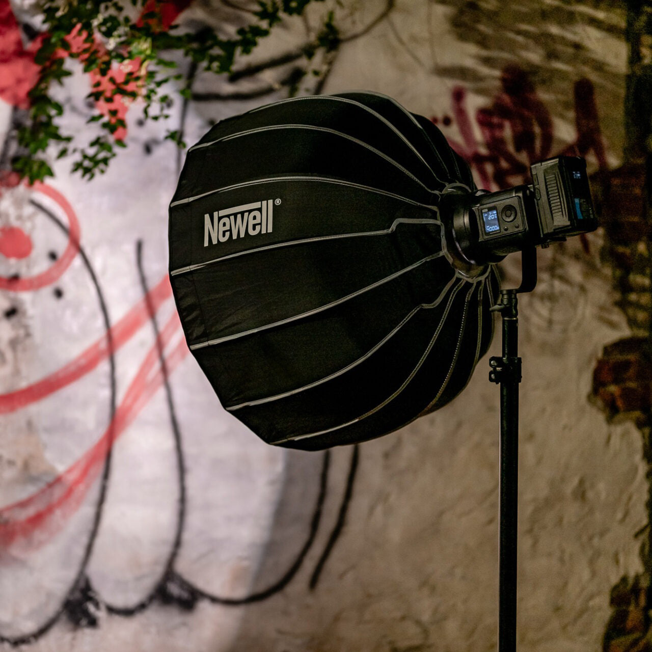 Newell Softbox 65 cm für sanftes, gleichmäßiges Licht