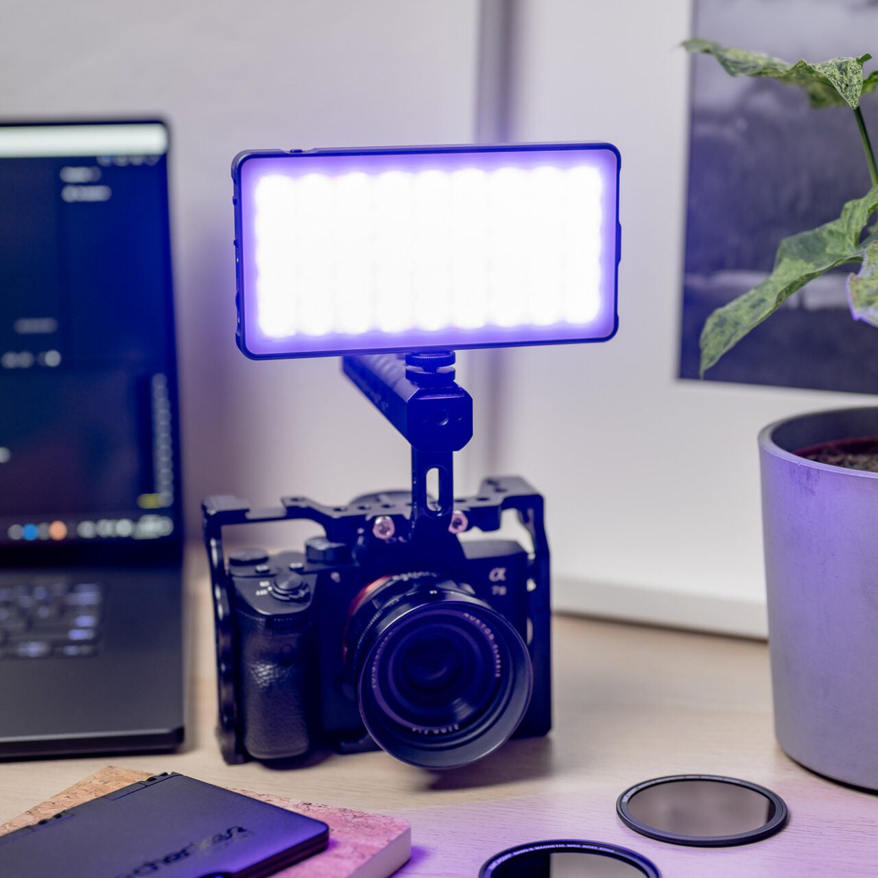 Newell RGB-W Rangha LED Leuchte - Newell Pro DE