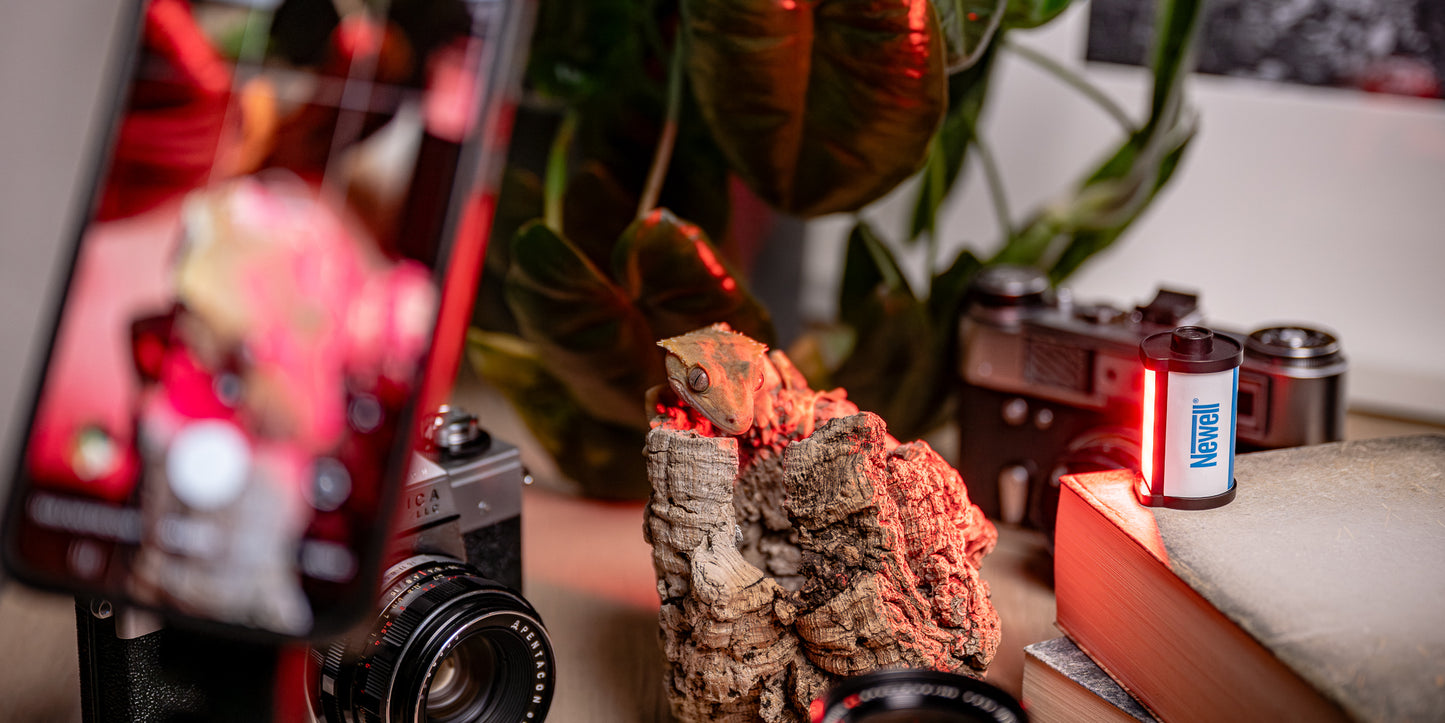 Newell RGB MiniReels LED-Leuchte - Retro-Design