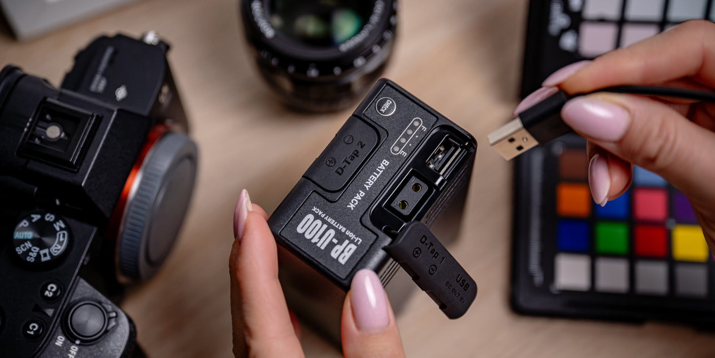 Newell BP-U100 Akku für Sony