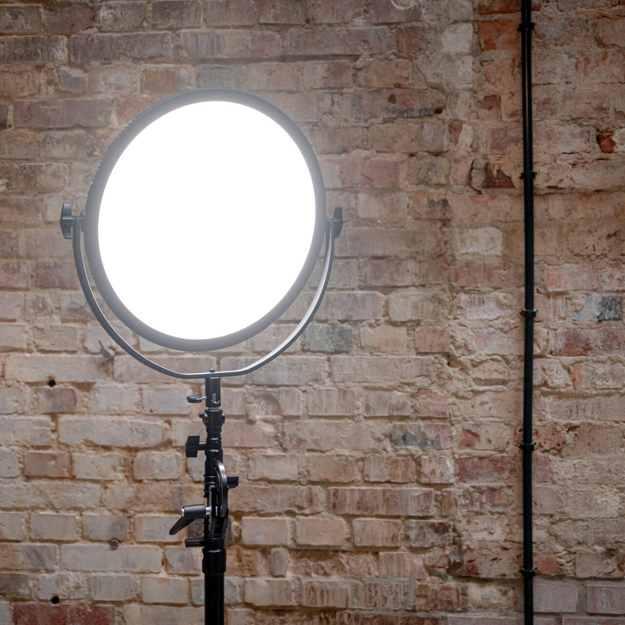 Newell LED Air Artha Leuchte XL - Newell Pro DE