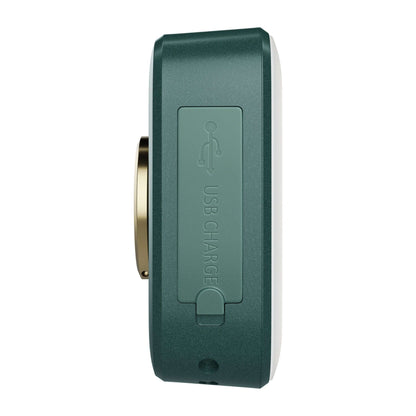 Newell Campina LED Lampe - Green - Newell Pro DE
