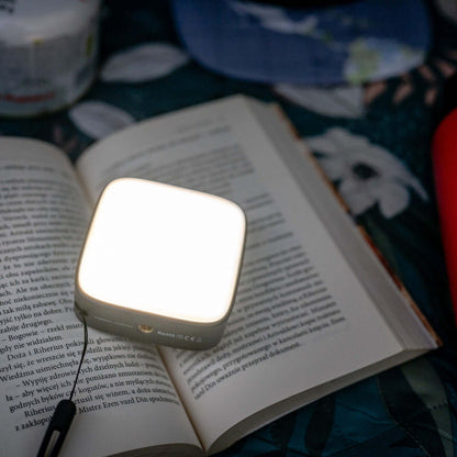 Newell Campina LED Lampe - Graphite - Newell Pro DE