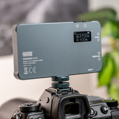 Newell RGB-W Rangha LED Leuchte Mini - Newell Pro DE