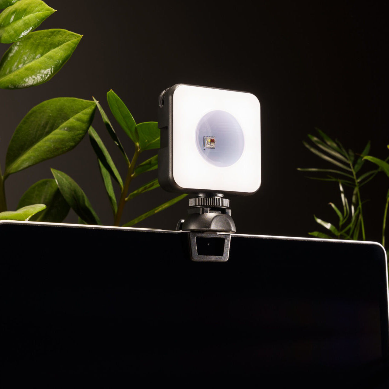 Newell RGB-W Rangha LED Nano Sunset Leuchte - Newell Pro DE