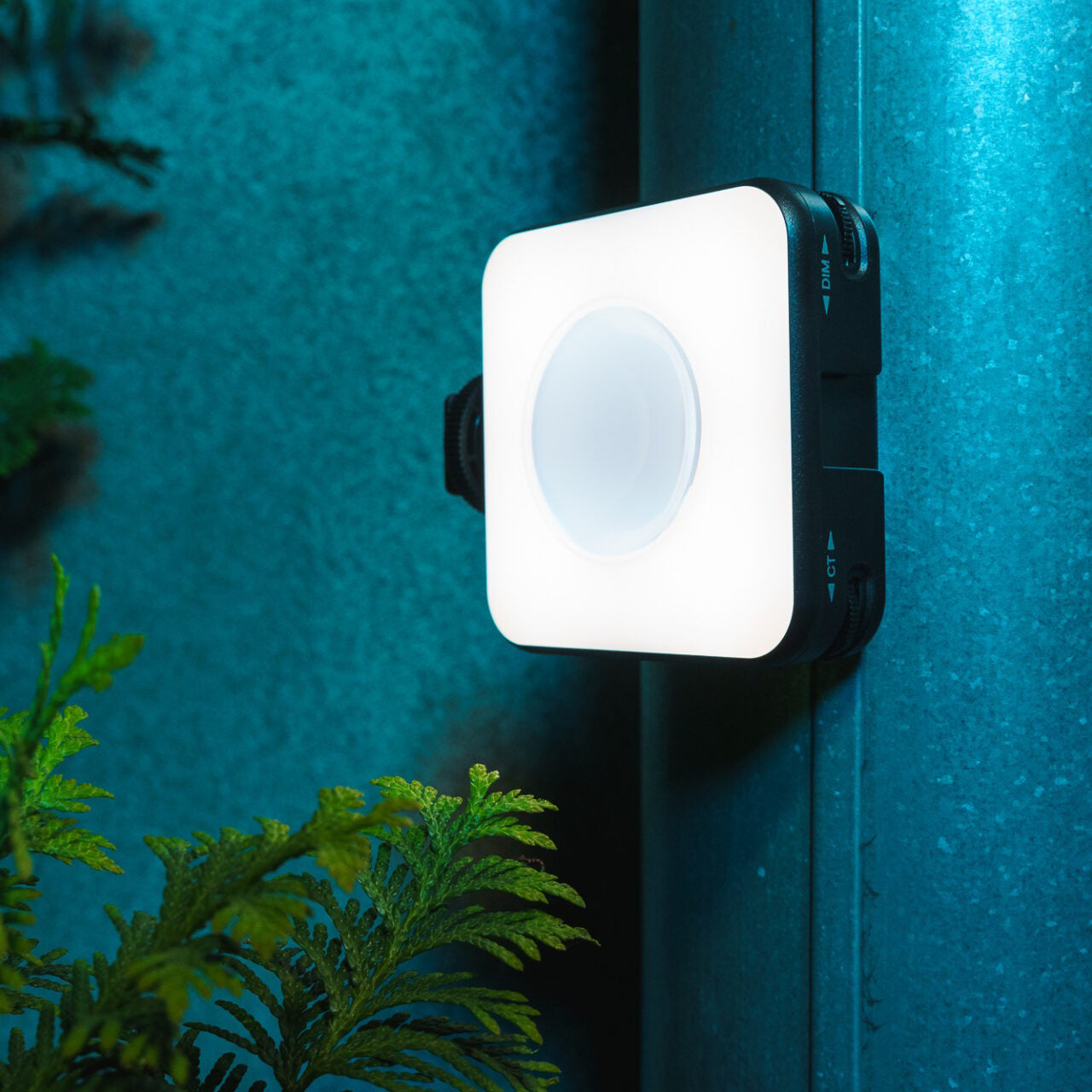 Newell RGB-W Rangha LED Nano Sunset Leuchte - Newell Pro DE