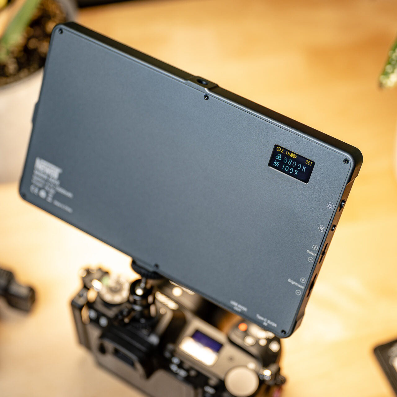 Newell RGB-W Rangha Max LED Leuchte - Newell Pro DE