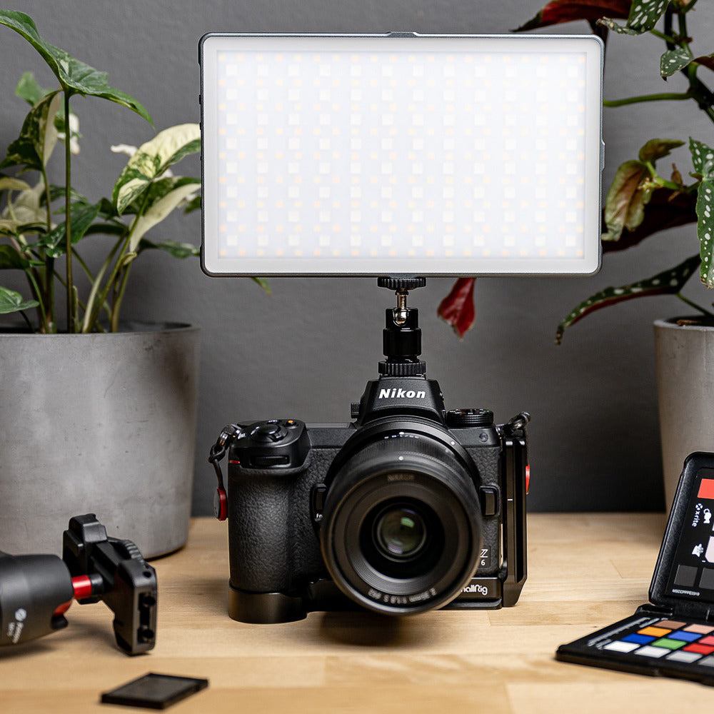 Newell RGB-W Rangha Max LED Leuchte - Newell Pro DE