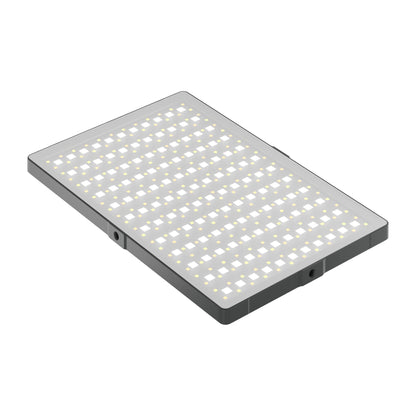 Newell RGB-W Rangha Max LED Leuchte XL - Newell Pro DE