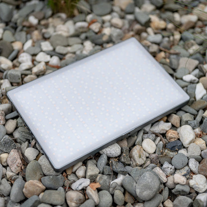 Newell RGB-W Rangha Max LED Leuchte XL - Newell Pro DE