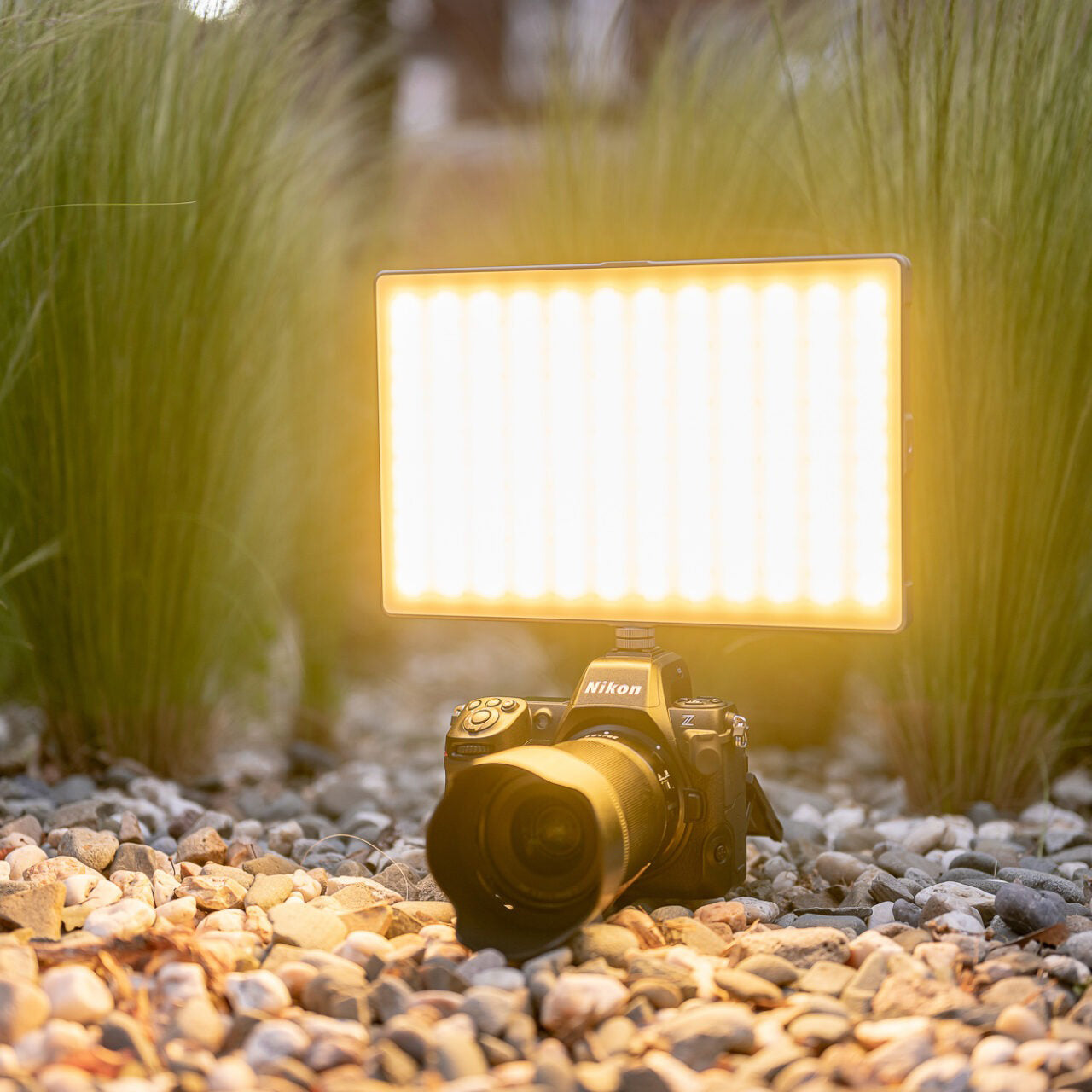 Newell RGB-W Rangha Max LED Leuchte XL - Newell Pro DE