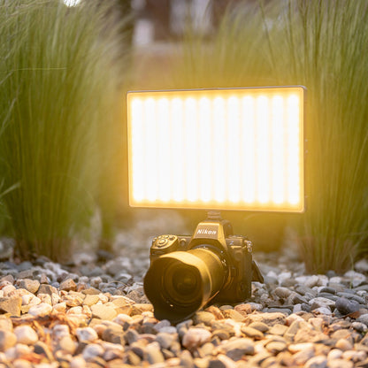 Newell RGB-W Rangha Max LED Leuchte XL - Newell Pro DE