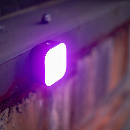 Newell RGB Cutie Pie LED Lampe – Black - Newell Pro DE