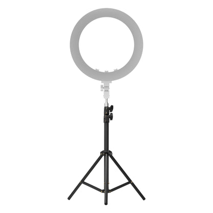 Newell RL-18A LED Ring Light (3200-5500K) Arctic White - Newell Pro DE
