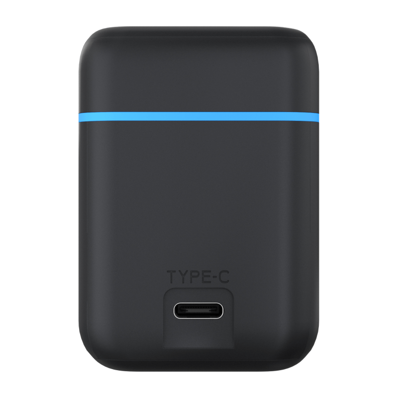 Newell STD-USB-C Ladegerät für Insta360 X5 Akku CINSBAHA