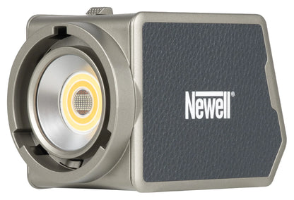 Newell Zora 60 RGB LED Leuchte